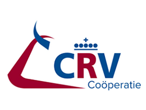 CRV